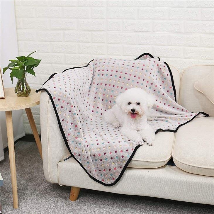 Coperta per animali domestici