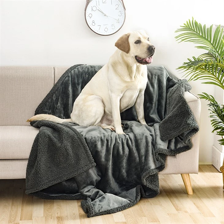Coperta per animali domestici